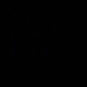 Meet your Posher, Fran